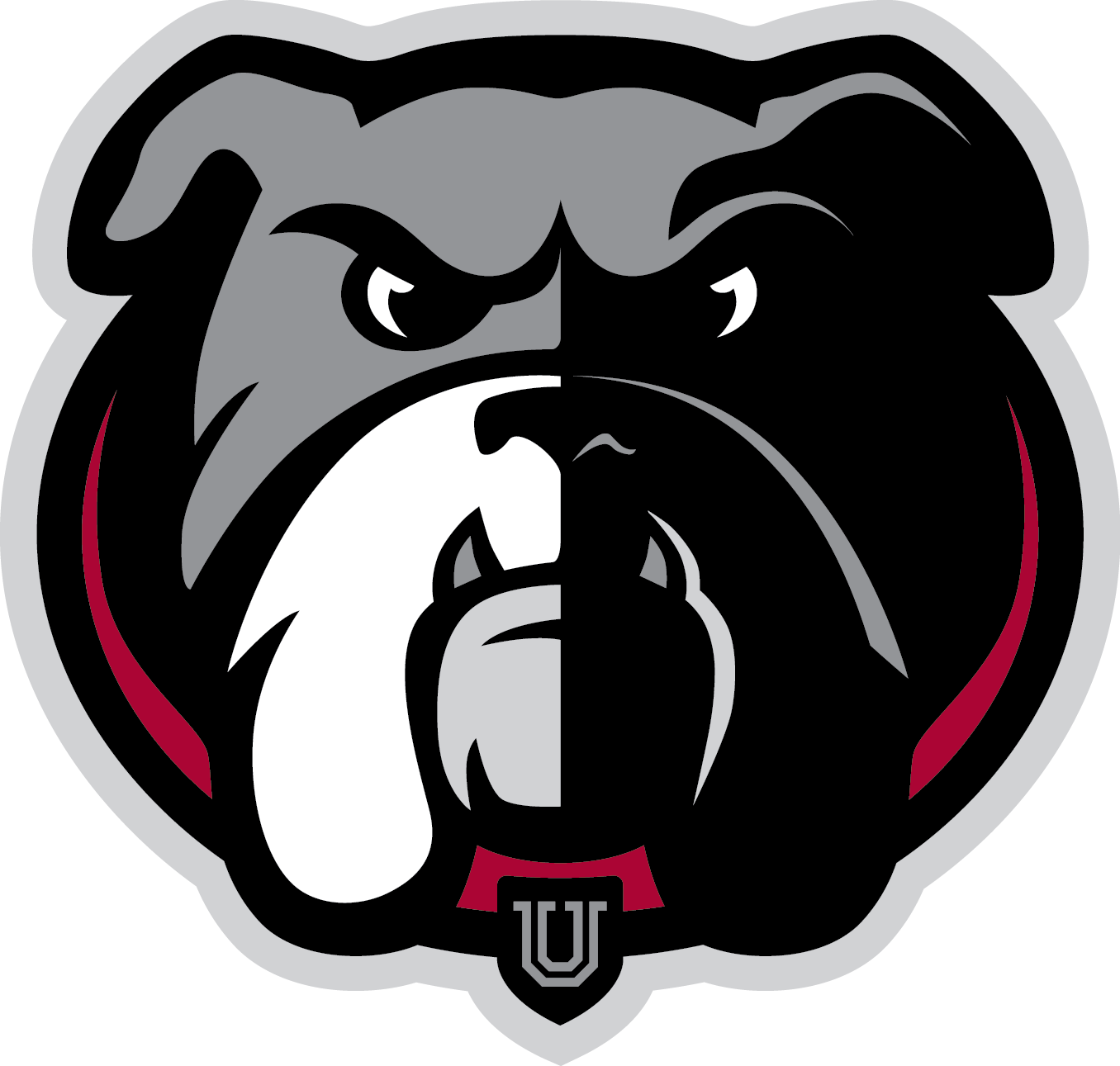 Tournament Image